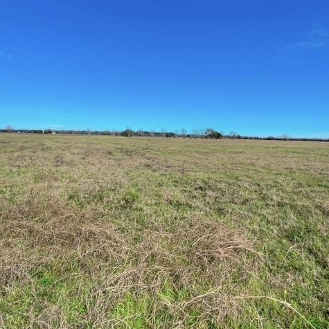 345 Sandy Trail Angleton TX 77486