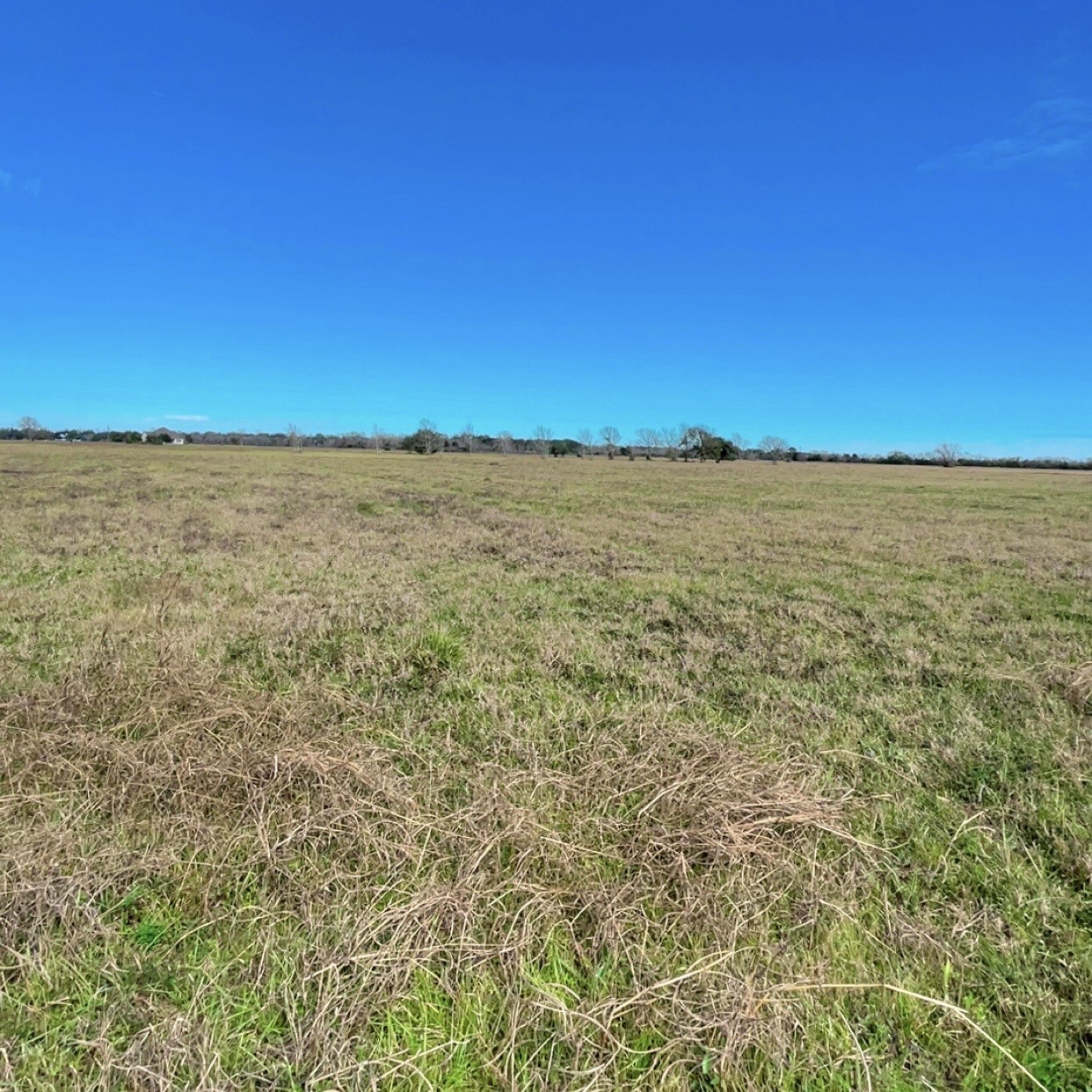 345 Sandy Trail Angleton TX 77486