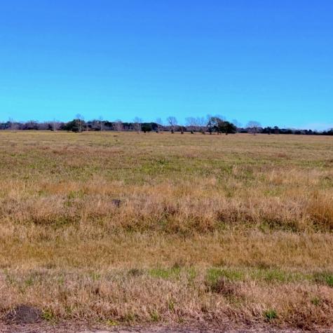 345 Sandy Trail Angleton TX 77486