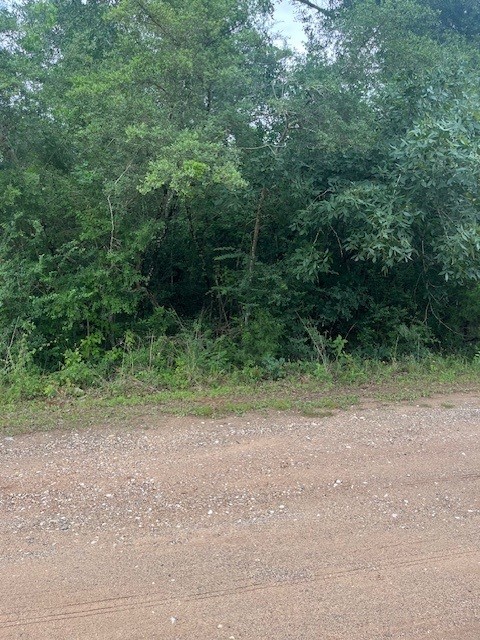 0 Deerwood Drive Hempstead TX 77445