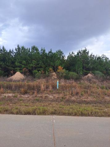 212 Road 5604 Cleveland TX 77327