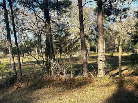 473 Marion Lane New Waverly TX 77358