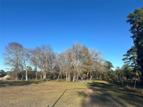 473 Marion Lane New Waverly TX 77358
