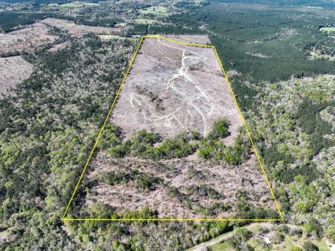 1 County Road 443 Kirbyville TX 75956