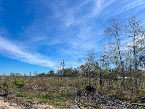 1 County Road 443 Kirbyville TX 75956