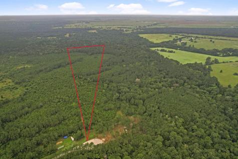 Tract 11 Fm 230 Lovelady TX 77854