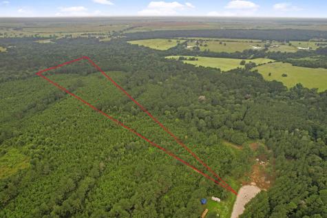 Tract 11 Fm 230 Lovelady TX 77854