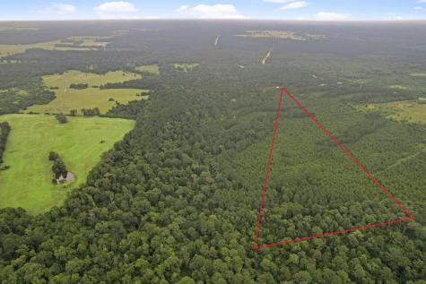 Tract 11 Fm 230 Lovelady TX 77854