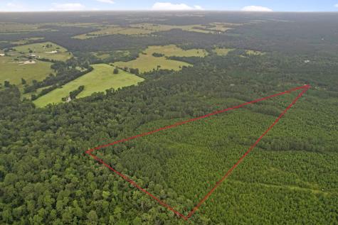 Tract 11 Fm 230 Lovelady TX 77854