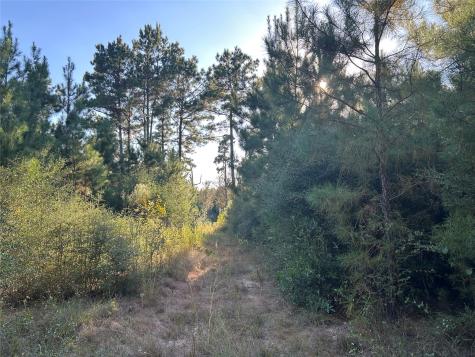Tract 11 Fm 230 Lovelady TX 77854