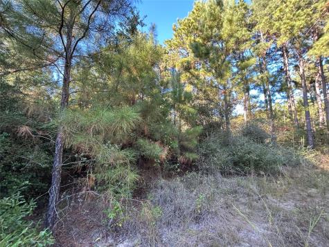 Tract 11 Fm 230 Lovelady TX 77854