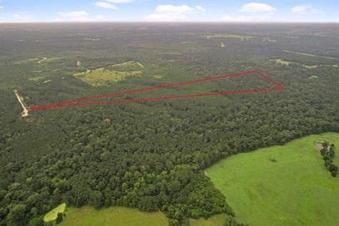 Tract 11 Fm 230 Lovelady TX 77854