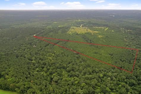Tract 11 Fm 230 Lovelady TX 77854