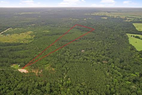 Tract 11 Fm 230 Lovelady TX 77854