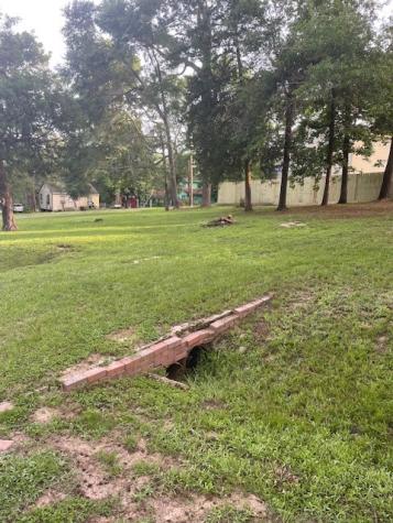 000 Knotty Oak Livingston TX 77351