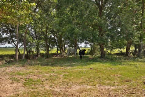 24783 Nine Bar Road Hempstead TX 77445