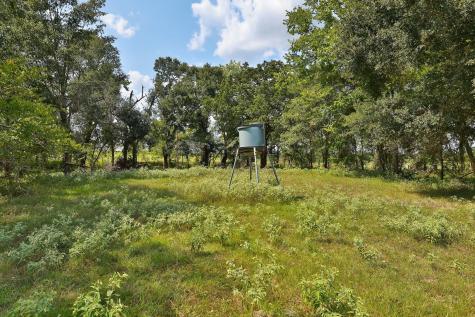 24783 Nine Bar Road Hempstead TX 77445