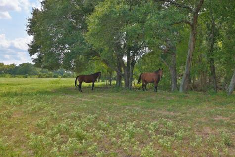 24783 Nine Bar Road Hempstead TX 77445