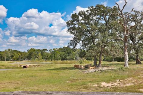 24783 Nine Bar Road Hempstead TX 77445