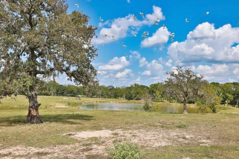 24783 Nine Bar Road Hempstead TX 77445