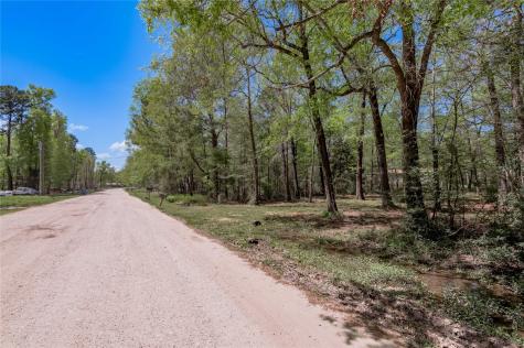 Tbd Meridian Livingston TX 77351
