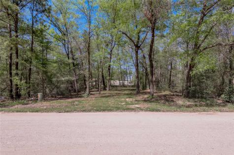 Tbd Meridian Livingston TX 77351