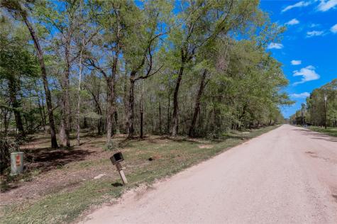 Tbd Meridian Livingston TX 77351