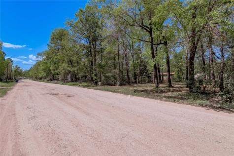 Tbd Meridian Livingston TX 77351