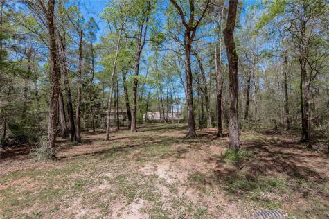 Tbd Meridian Livingston TX 77351