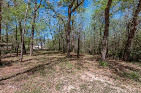 Tbd Meridian Livingston TX 77351