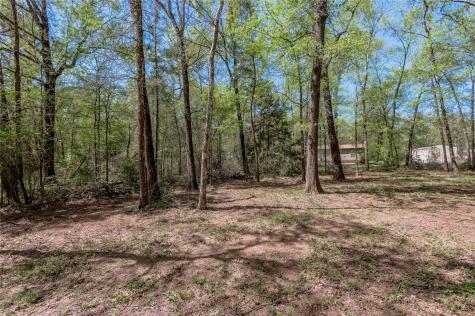 Tbd Meridian Livingston TX 77351