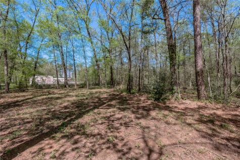 Tbd Meridian Livingston TX 77351