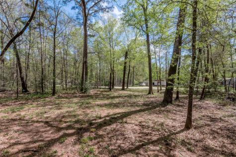Tbd Meridian Livingston TX 77351