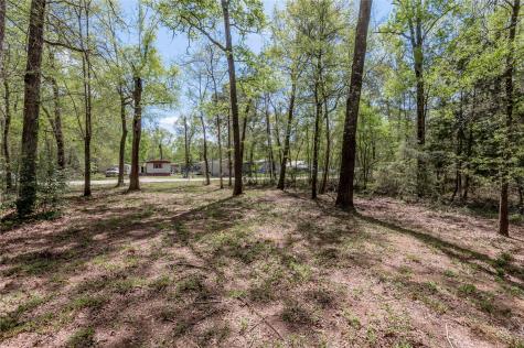 Tbd Meridian Livingston TX 77351