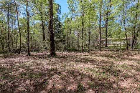 Tbd Meridian Livingston TX 77351