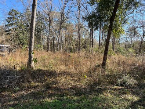 000 Bitter Creek Drive Shepherd TX 77371