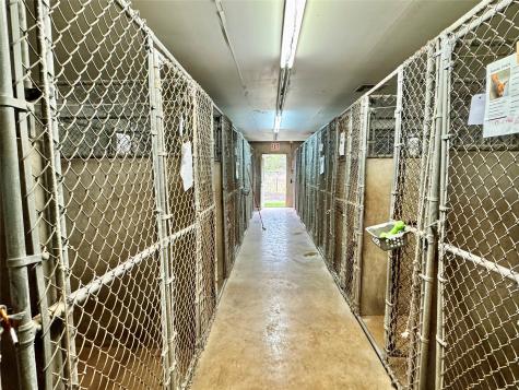 310 Ellen Avenue League City TX 77573