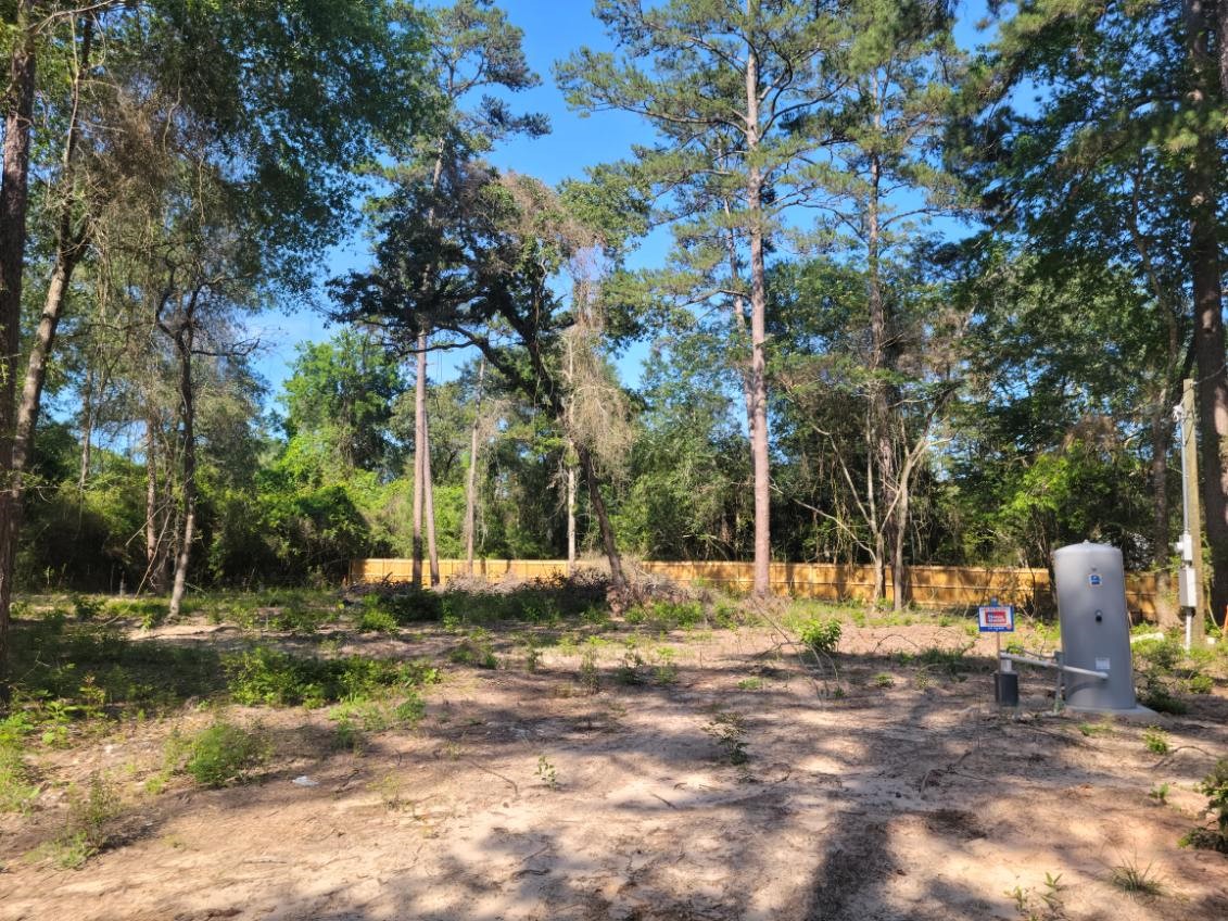 15933 Mata Road Plantersville TX 77363