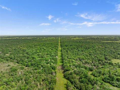 +/- 400 Ac Fm 2289 Normangee TX 77871