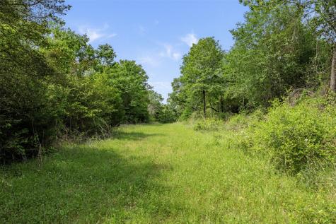 +/- 400 Ac Fm 2289 Normangee TX 77871