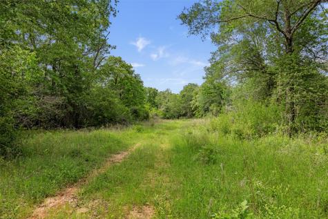 +/- 400 Ac Fm 2289 Normangee TX 77871