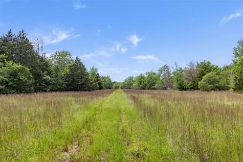 +/- 400 Ac Fm 2289 Normangee TX 77871