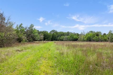 +/- 400 Ac Fm 2289 Normangee TX 77871