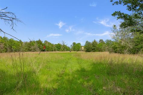 +/- 400 Ac Fm 2289 Normangee TX 77871