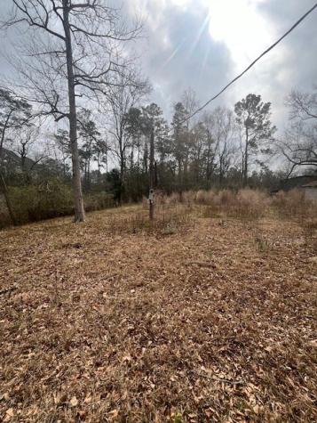 48 Magnolia Road New Caney TX 77357