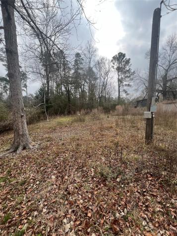 48 Magnolia Road New Caney TX 77357