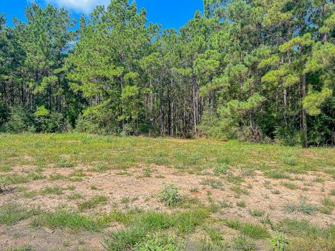 Id 25417 Lot 60 Fm 705 Broaddus TX 75929