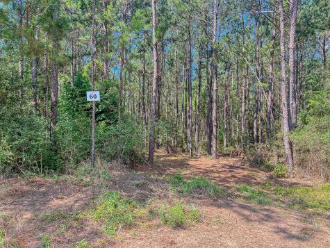Id 25417 Lot 60 Fm 705 Broaddus TX 75929
