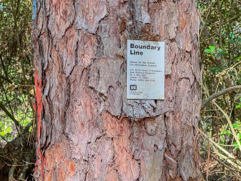 Id 25417 Lot 60 Fm 705 Broaddus TX 75929