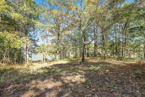14948 Lot 14-15 Colt Lane Willis TX 77378